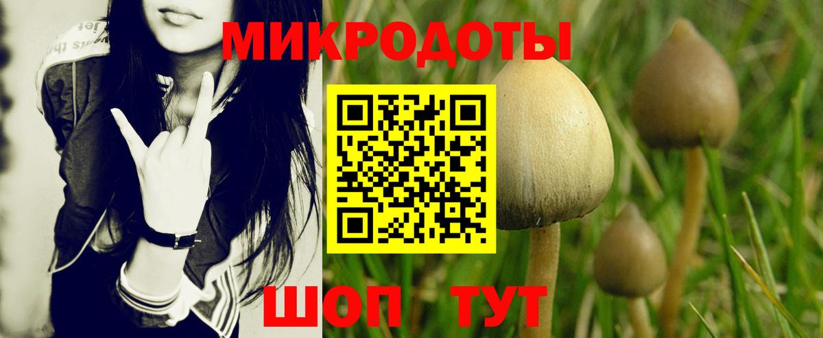 Псилоцибиновые грибы Magic Shrooms Ишим